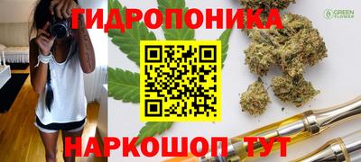 стафф Аргун